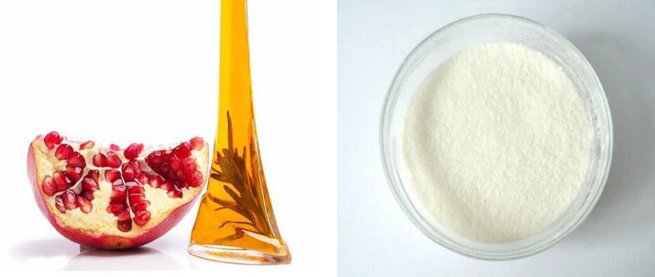 Pomegranate Oil Powder