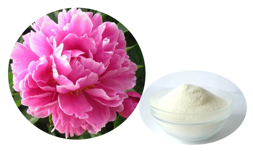 Peony seed oil powder Peony seed oil powder