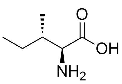 L-Isoleucine Powder L-Isoleucine Powder