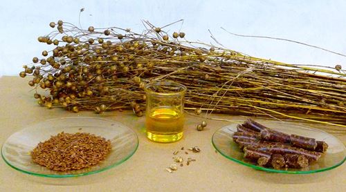 Flax seed Flax seed