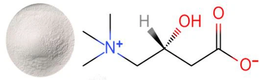 Damp-proof L-carnitine