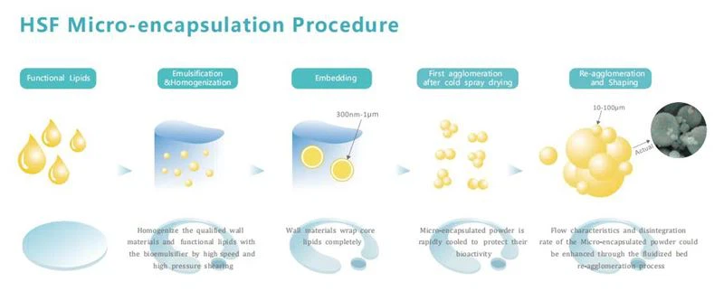 product-800-322 Micro-encapsulation