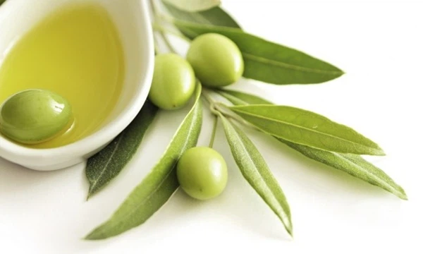 Olive Leaf Extract Olive Leaf Extract