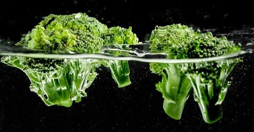 Broccoli Extract Powder Broccoli Extract Powder