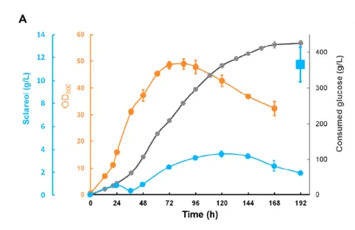 product-513-332 product-513-332